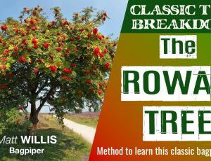 The Rowan Tree – classic tune breakdown!